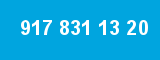 917 831 13 20 917 831 13 20